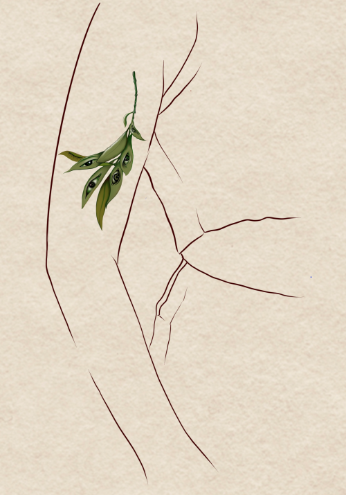 Coy - E Thẹn