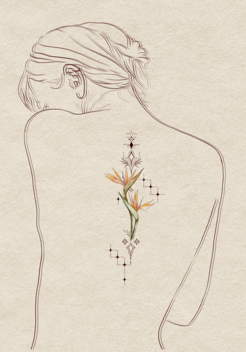 Bird of paradise - Thiên điểu