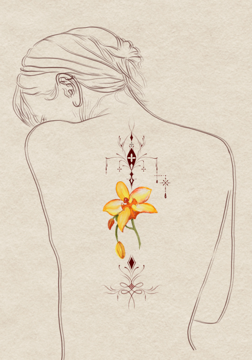 orchid - lan 