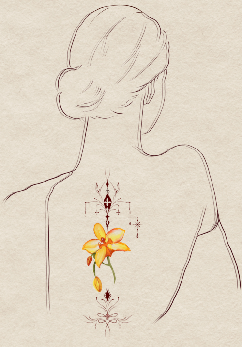 orchid - lan 