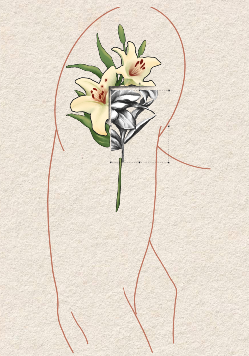 CUT OUT 2