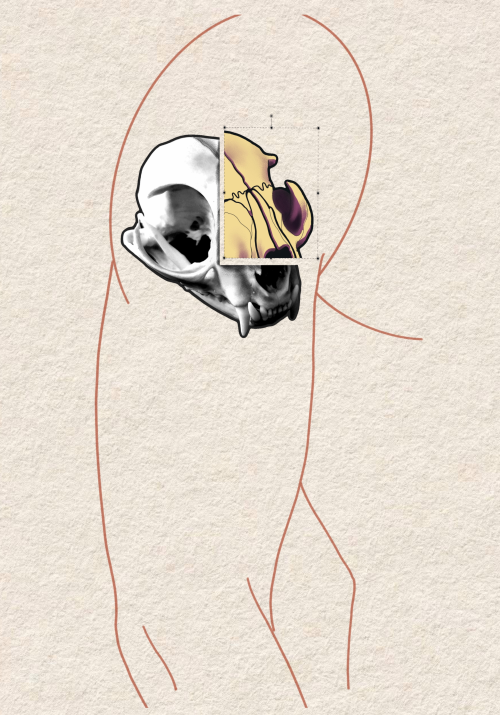 CUT OUT