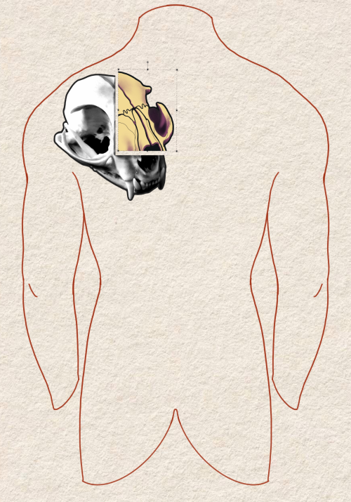 CUT OUT