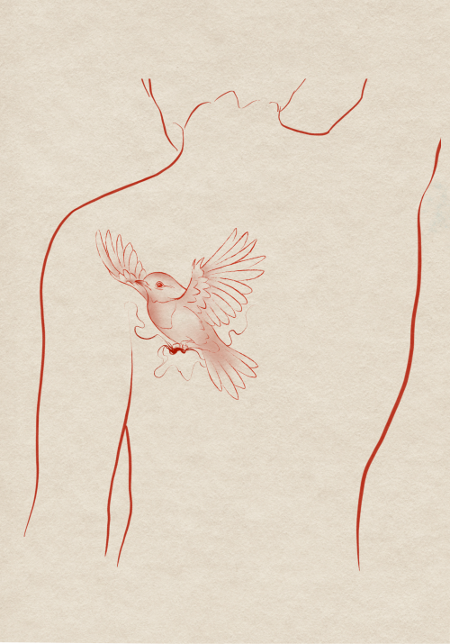 𝐑𝐞𝐝 𝐑𝐞𝐛𝐢𝐫𝐭𝐡 