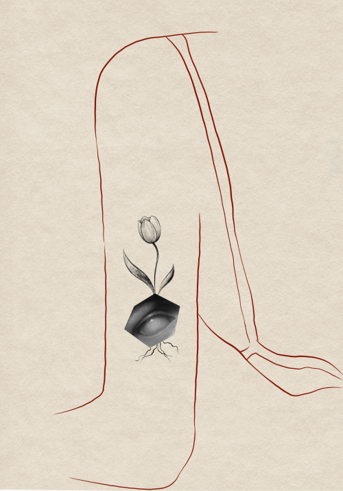 𝐒𝐢𝐥𝐞𝐧𝐭 𝐖𝐚𝐭𝐜𝐡𝐞𝐫