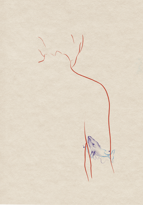 𝐖𝐚𝐧𝐝𝐞𝐫𝐢𝐧𝐠 𝐖𝐚𝐯𝐞